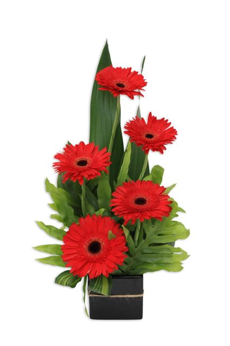 Gerbera Jazz Flower Arrangement | Gerbera Flowers Perth