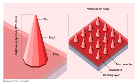 Microneedles A New Way To Deliver Vaccines The Pharmaceutical Journal