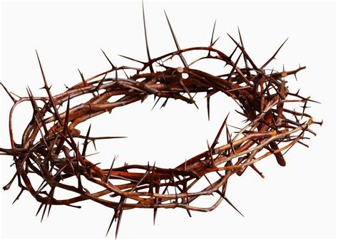 Pin By Alazar Esayas On Love Crown Of Thorns Jesus Crown Twitter Backgrounds