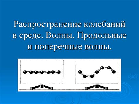 Распространение колебаний в среде. Волны. Продольные и поперечные волны ...