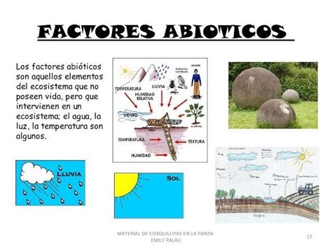 Ideas De Factores Bioticos Y Abioticos Factores Bioticos Y Images