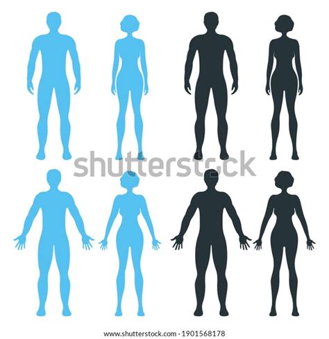 Female Sex Human Body Photos Images And Pictures Shutterstock