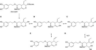 Frontiers Production Of Plant Derived Oleuropein Aglycone By A