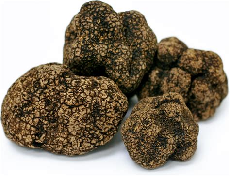 Himalayan Black Truffles Information Recipes And Facts