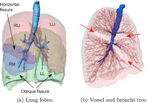 Figure From Automatic And Interactive Segmentation Of Pulmonary