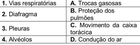 Assinale A Alternativa Que Apresenta A Associa O Correta Entre As