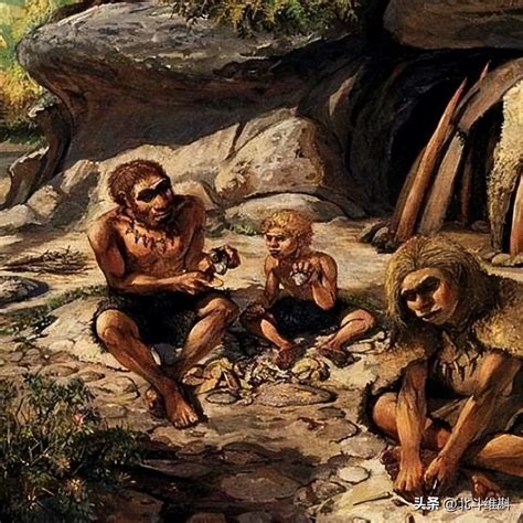 How Does Modern Humans Have Neanderthal And Denisovan Genes Inews