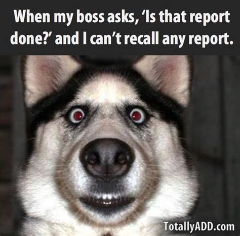 Is That Report Ready Totallyadd