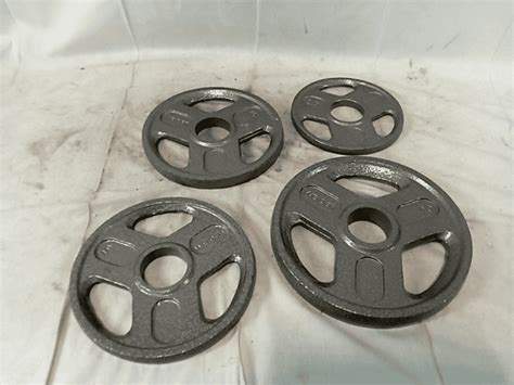 Assortment of 4 - Weider Olympic Weight Plates - Dutch Goat