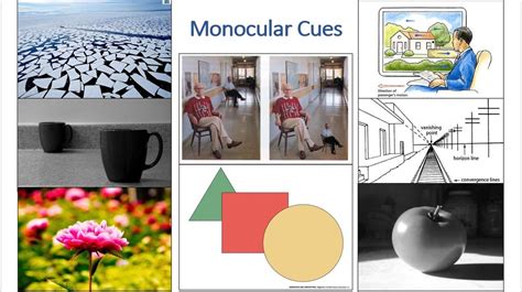 Interposition Monocular Cues