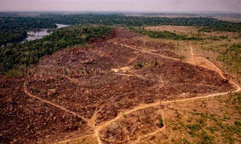 La Sobreexplotaci N De Especies Silvestres Un Frente Abierto En La