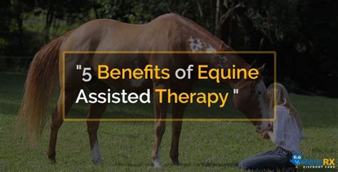 5 Benefits Of Equine Assisted Therapy Wiserxcard