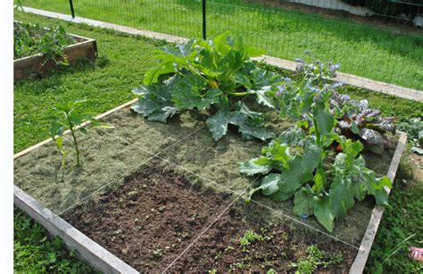 Faire un potager les 4 étapes à suivre Jardindeco