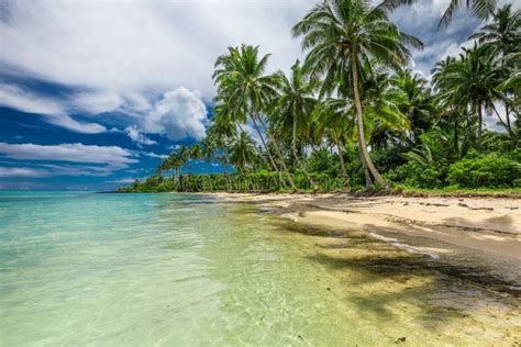 Playa Tropical Al Sur De La Isla De Samoa Con Cocoteros Foto De Archivo