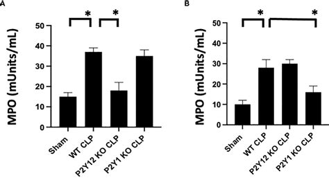 Frontiers Sex Related Differences In The Response Of Anti Platelet