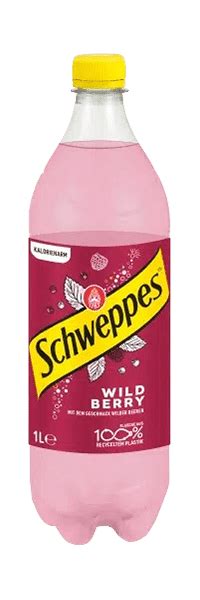 Schweppes Wild Berry X Cl Pet Pepillo Ch