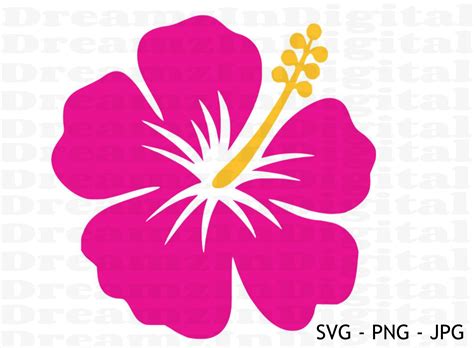 Hawaiin Flowers Hibiscus Flowers Tropical Flowers Flower Stencil