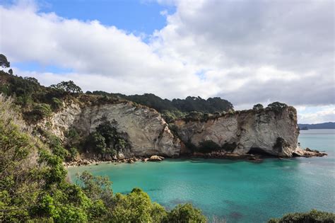 Cathedral Cove Beach The Most Beautiful Coastal Walk In Coromandel