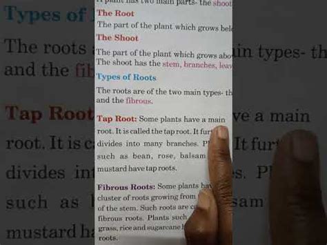 Evs Class 3 Lesson 9 Parts Of A Plant YouTube