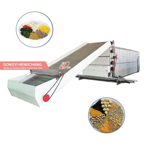 Dehydrated Vegetable Tunnel Heat Pump Conveyor Mesh Belt Drying Machine