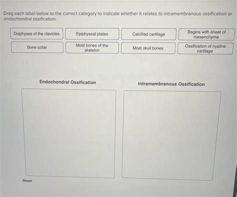 Solved Drag Each Label Below To The Correct Category To