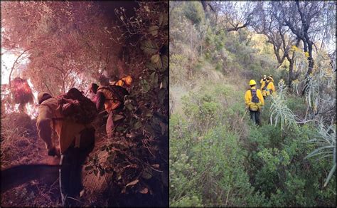 Suman cuatro incendios forestales en zona montañosa de Veracruz