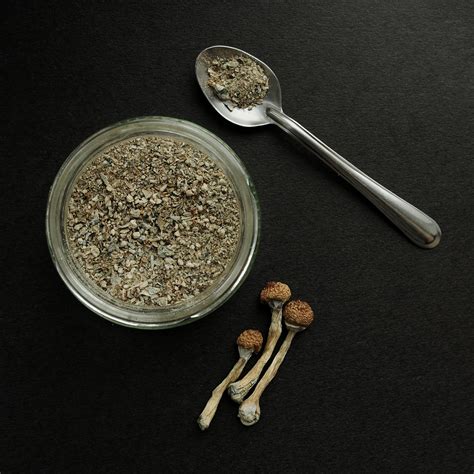 There Is A How To Consume Magic Mushrooms Way That Tastes Good - RYZE Superfoods