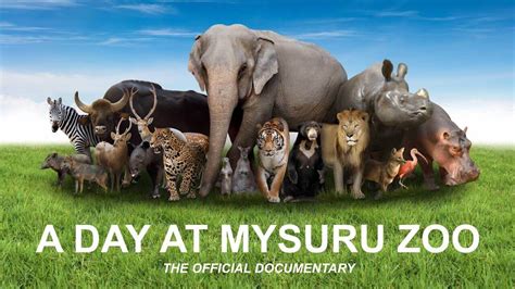 A Day at Mysuru Zoo - Official Documentary - MYSURU - All about Mysore