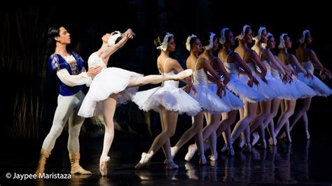 Revisiting The Magic And Romance Of Swan Lake