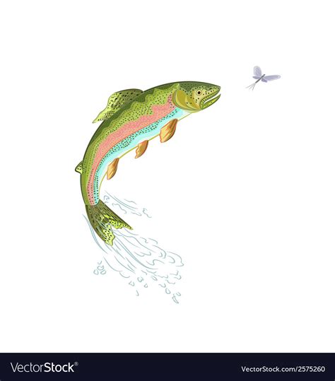 American-trout-jumps Royalty Free Vector Image