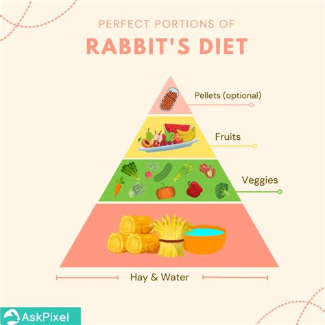 What Do Rabbits Eat All You Need To Know Ask Pixel