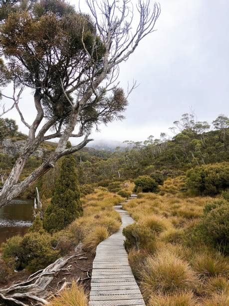 Cradle Mountain Snow Stock Photos, Pictures & Royalty-Free Images - iStock