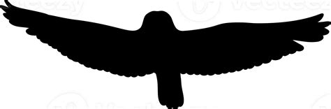 Flying Bird Owl Silhouette 24273989 PNG