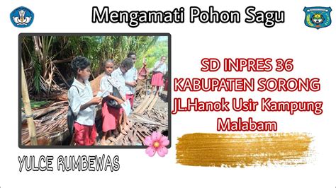 Mengamati Akar Batang Daun Buah Pohon Memanfaatkan Alam Sebagai Sumber