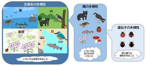 生物多様性について 福島県ホームページ