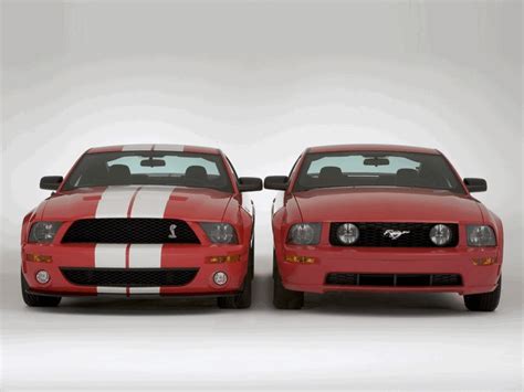 2005 Ford Mustang Shelby Gt500 Cobra 206303 Best Quality Free High Resolution Car Images