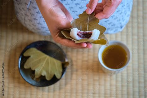 Hands Holding Japanese Kashiwa Mochi Filled With Anko And Green Tea On