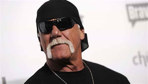 Sex Tapes Case Hulk Hogan Jury Awards Usd Mn In Punitive Damages