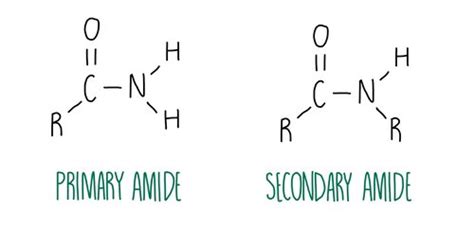 Amines Amides And Amino Acids — The Science Sauce