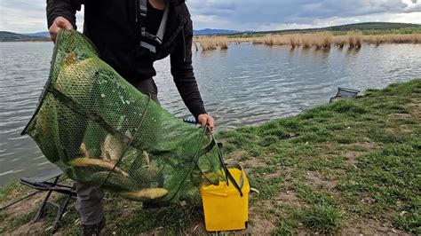 Partida Scurta De Pescuit La Feeder Am Prins Crap Si Carasi S Lbatici