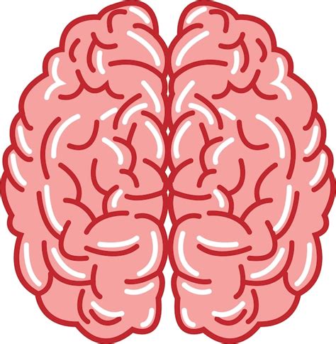 Premium Vector Vector Brain Image