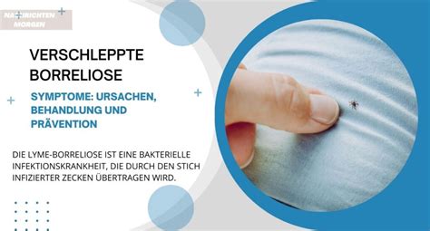 Verschleppte Borreliose Symptome Ursachen Behandlung Und Pr Vention