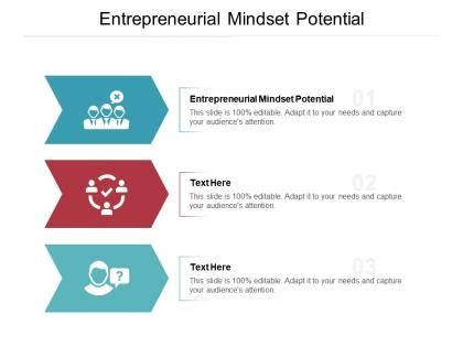 Entrepreneurial Mindset Examples Powerpoint Presentation And Slides