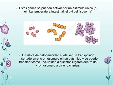 Factores De Virulencia Bacteriana Ppt