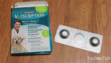 dog dewormer brands rated   worm types