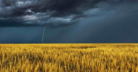 Planning For Climate Extremes In Global Farming Pursuit By The