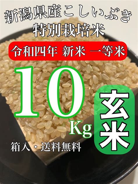 お得 令和4年新米 ミルキープリンセス 酵素米 玄米20kg 標準白米に精米 Kochi Otmainjp