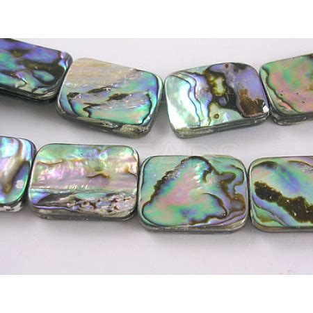 Wholesale Natural Abalone Shell Paua Shell Beads Strands Kbeads