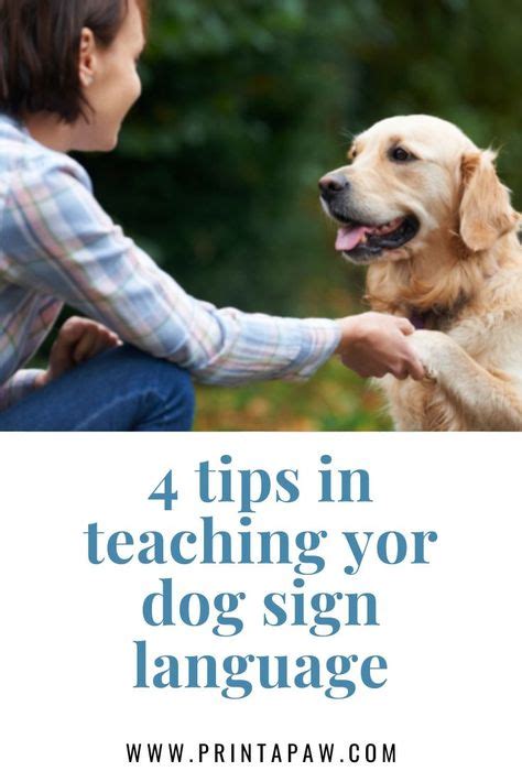 10+ Best sign language for dogs images | dog training obedience, puppy ...