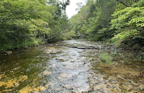 10 Best Hikes And Trails In Weldon Spring Conservation Area Alltrails